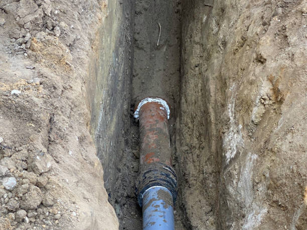 Best Flood damage cleanup  in Penitas, TX