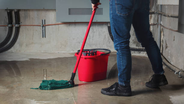 Best Ceiling water damage repair  in Penitas, TX