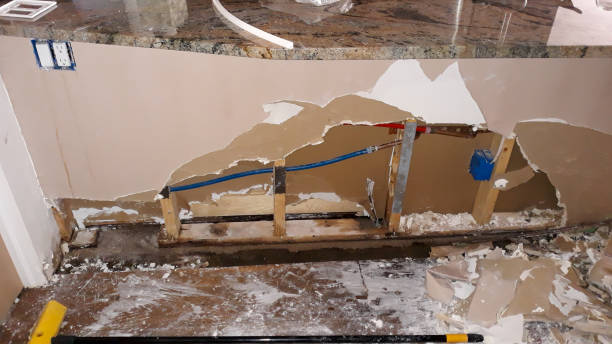  Penitas, TX Water damage restoration Pros