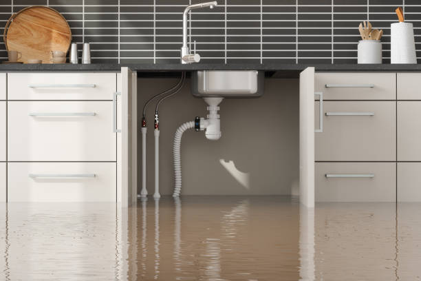 Best Flood restoration services  in Penitas, TX